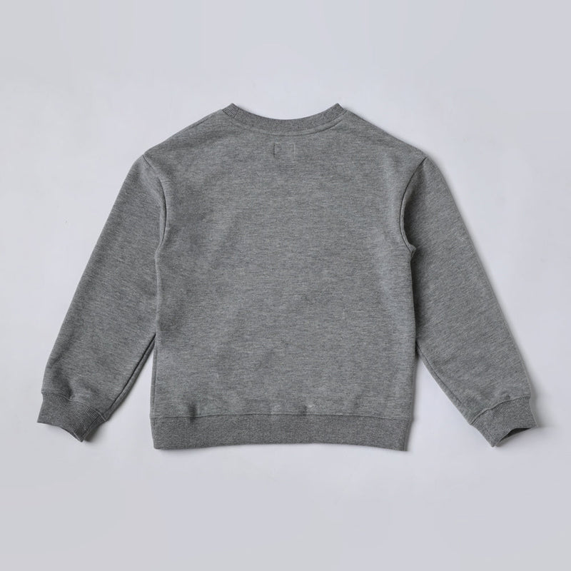 SEASONAL FIT PET LOVER COLLECTION BOY'S PULLOVER GREY